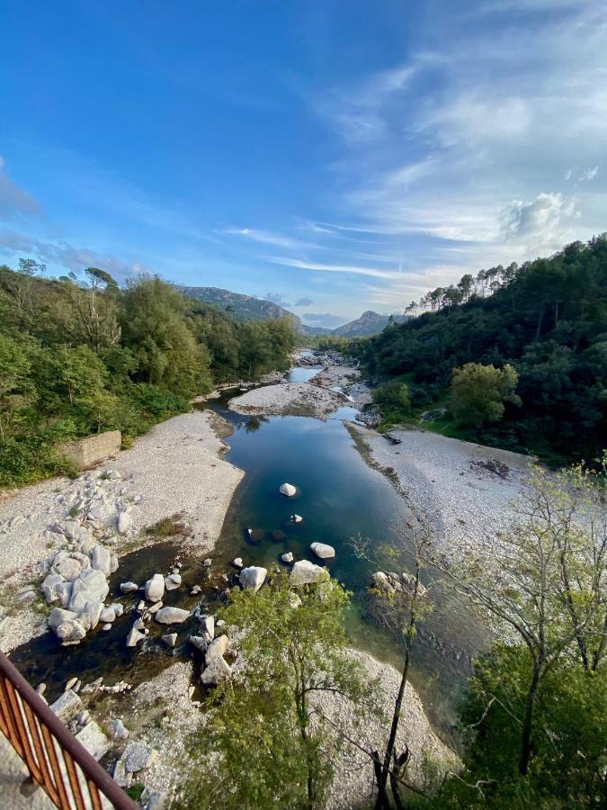 La Frigoule, Un Gite Au Coeur Du Parc Des Cevennes Generargues 外观 照片
