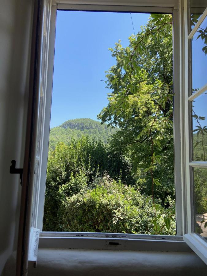 La Frigoule, Un Gite Au Coeur Du Parc Des Cevennes Generargues 外观 照片