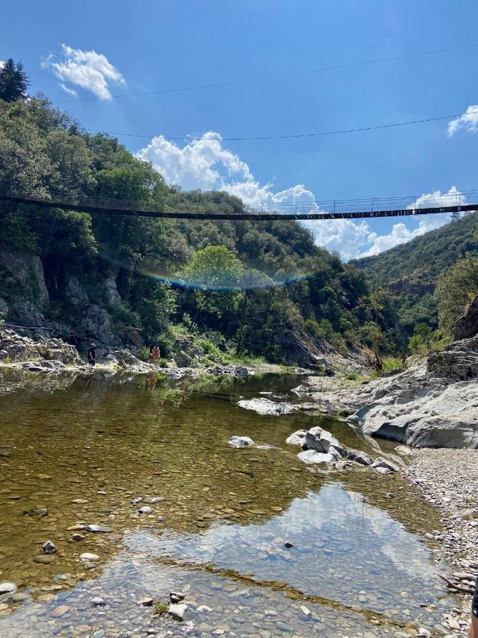 La Frigoule, Un Gite Au Coeur Du Parc Des Cevennes Generargues 外观 照片